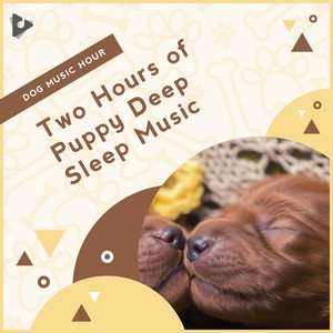 2 Hours of Puppy Deep Sleep Music