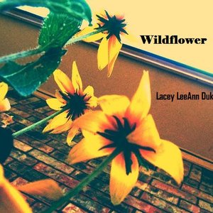 “Wildflower”的封面