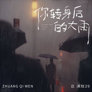 你转身后的大雨