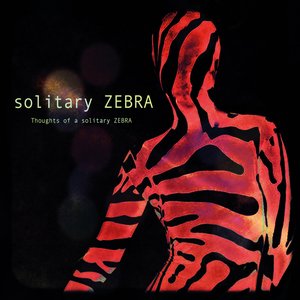 Thoughts of a Solitary Zebra