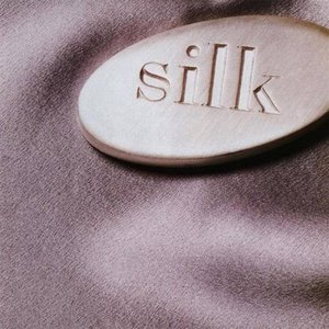 “Silk”的封面