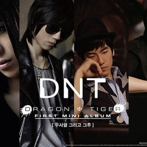 디엔티 (DNT) のアバター