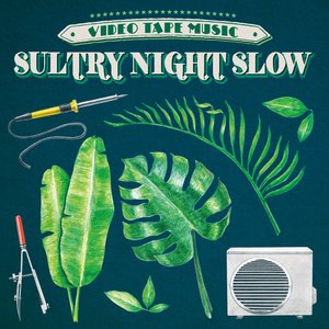 Sultry Night Slow - Single