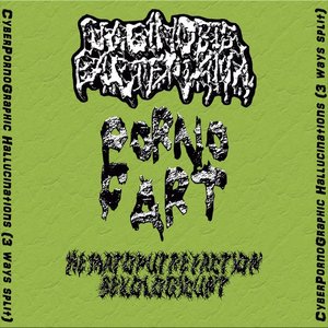 CyberPornoGraphic Hallucinations (3 Ways Split)