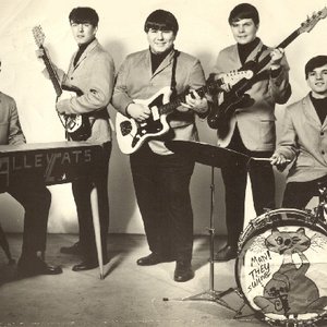The Young Alley Cats 的头像
