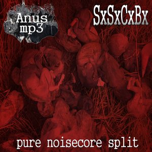 Avatar for ANUS MP3