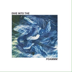 Dive Into the FOAMMM