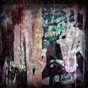 straydogs