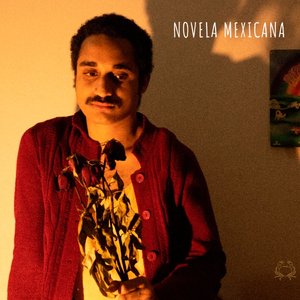 Novela Mexicana