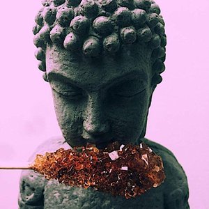 Runforrest - EP