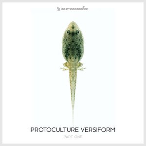 Versiform, Pt. 1