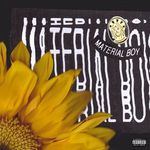 Material Boy (Acoustic) [Explicit]