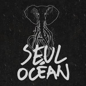Seul océan 的头像