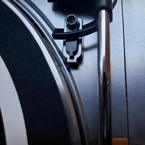 Delicate Record
