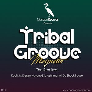 Tribal Groove (The Remixes)