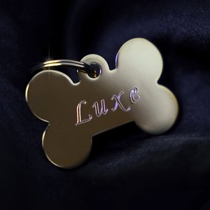 Dogue de Luxe