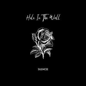 Hole in the Wall