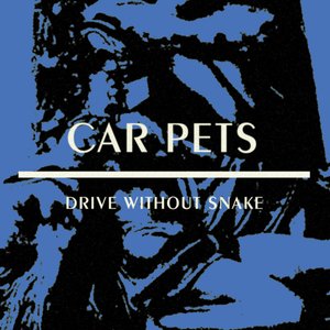 Drive Without Snake - EP