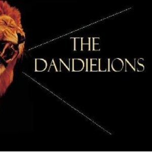 Image for 'The Dandielions'