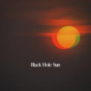 Black Hole Sun
