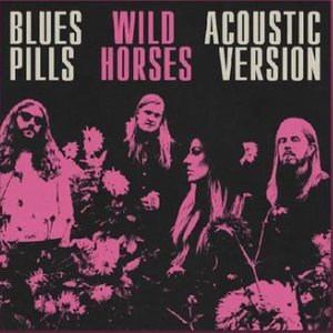 Wild Horses - Acoustic
