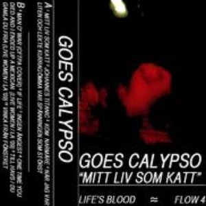 Avatar for Goes Calypso