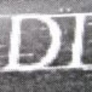 Widdiful 的头像