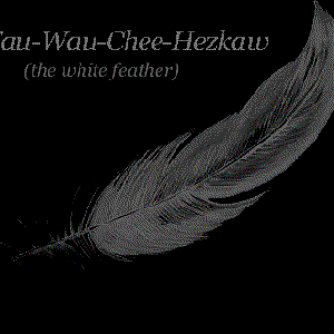Tau-Wau-Chee-Hezkaw (the white feather) 的头像