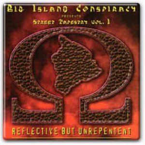 Image for 'Big Island Conspiracy'