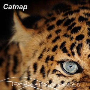 Catnap