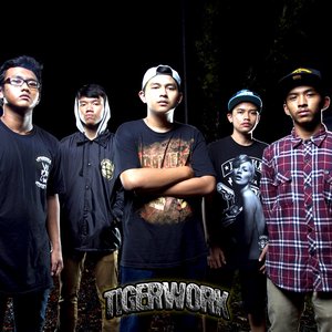 TIGERWORK 的头像