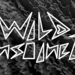 Wild Instinct のアバター