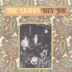 Hey Joe! cover