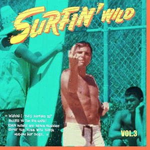 Surfin' Wild Vol.3, 16 Wild Instrumental Rockers