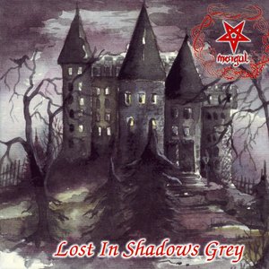 Lost In Shadows Grey