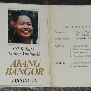 Image for 'nining yuningsih'
