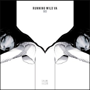 Running Wild VA 003
