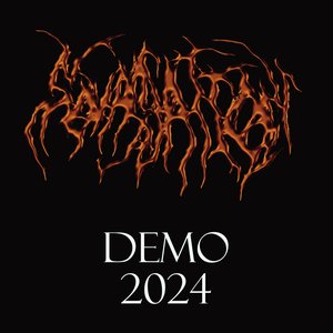 Demo 2024