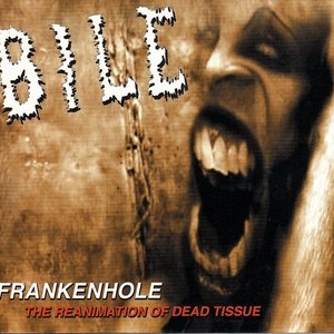 Frankenhole