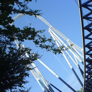 Thorpe Park 的头像