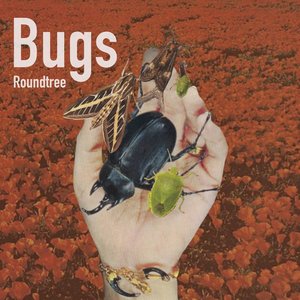 Bugs