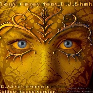 DJ Shah feat. Tony Carey 的头像