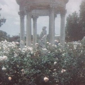 Funeral Service 的头像