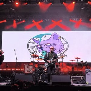 The Hourglass Cats 的头像