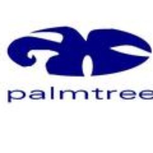 Palmtree 的头像