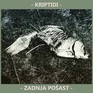 Zadnja pošast