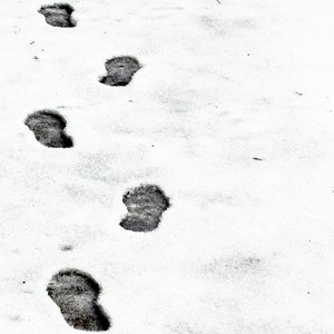 33° [Explicit]