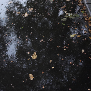 Arts Belongs To The People