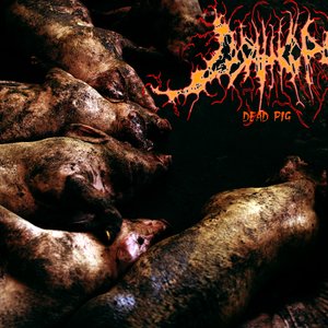Deathgore 的头像