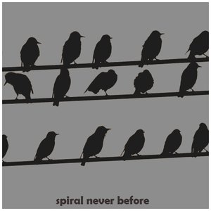 Spiral Never Before 的头像